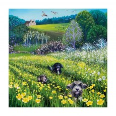 Museums & Galleries Field Of Dreams Card