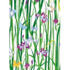 Sarah Campbell Irises & Butterflies Card