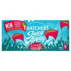 Thatchers Juicy Apple Cider 10x440ml Cans