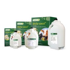 Dicla-Cocci Dicla-Cocci