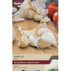 Taylor's Bulbs Garcua Garlic Bulbs
