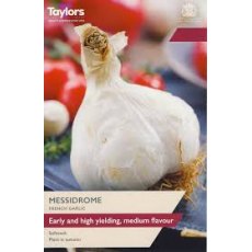 Taylor's Bulbs Messidrome French Garlic Bulbs