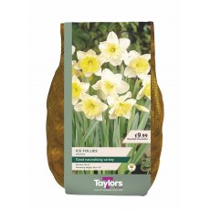Taylor's Bulbs Ice Follies Narcissi Bulbs 2kg