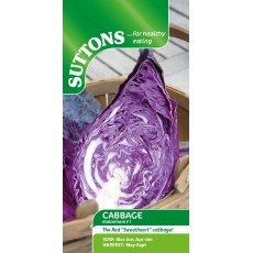 Suttons Matterhorn Cabbage F1 Seeds