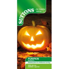 Suttons Wicked Pumpkin F1 Seeds