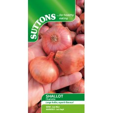 Suttons Charlotte Shallott Seeds