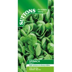 Suttons Zisa Spinach F1 Seeds