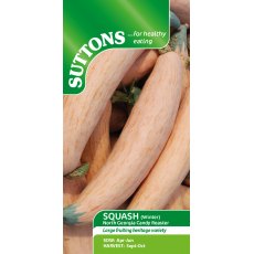 Suttons North Georgia Candy Roaster Winter Squash Seeds