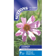 Suttons Pinwell Pink Cosmos Seeds
