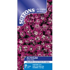 Suttons Alyssum Rosie O'Day Seeds