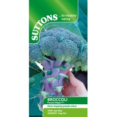 Suttons Purple Magic Broccoli F1 Seeds