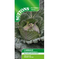 Suttons Marabel January King Cabbage F1 Seeds