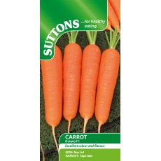 Suttons Octavo Carrot F1 Seeds
