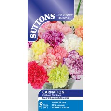 Suttons Chabaud Giant Mix Carnation Seeds