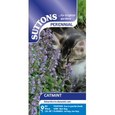 Suttons Catmint Seeds