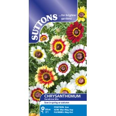 Suttons Chrysanthemum Carinatum Sunshine Mix Seeds