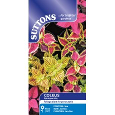 Suttons Coleus Rainbow Mix Seeds
