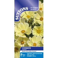 Suttons Xanthos Cosmos Seeds