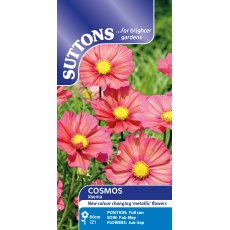 Suttons Xsenia Cosmos Seeds