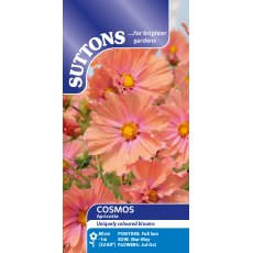 Suttons Apricotta Cosmos Seeds