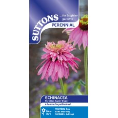 Suttons Echinacea Paradiso Super-Duper Seeds