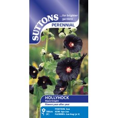 Suttons Hollyhock Black Knight Seeds