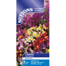 Suttons Linaria Fairy Bouquet Seeds