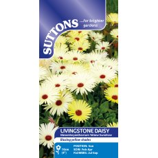 Suttons Livingstone Daisy Mesembryanthemum Yellow Sunshine Seeds