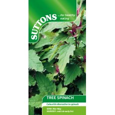 Suttons Tree Spinach Seeds