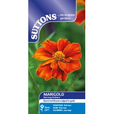Suttons Burning Embers Marigold Seeds
