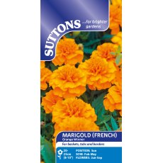 Suttons French Orange Winner Marigold Seeds