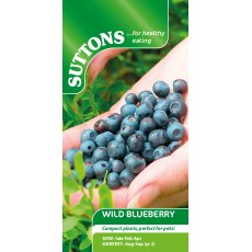 Suttons Wild Blueberry Seeds