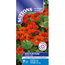Suttons Orange Troika Nasturtium Seeds