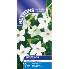 Suttons Affinis Nicotiana Seeds