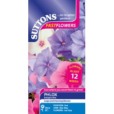 Suttons Phlox Drummondii Delight Mix
