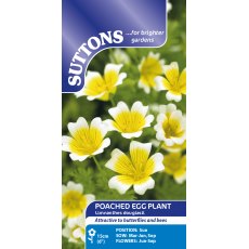 Suttons Poached Egg Plant Seeds