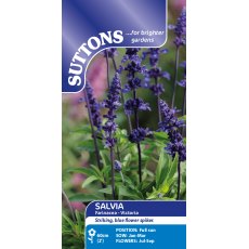 Suttons Farinacea Victoria Salvia Seeds