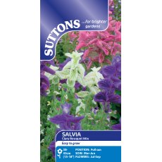 Suttons Clary Bouquet Salvia Mix Seeds