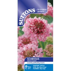 Suttons Scabious Salmon Queen Seeds