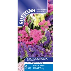 Suttons Statice Special Mix Seeds