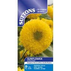 Suttons Gummy Bear Sunflower Seeds