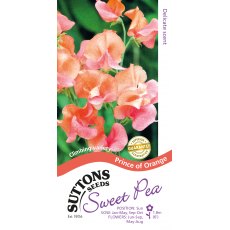 Suttons Prince Of Orange Sweet Pea Seeds
