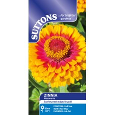 Suttons Macareni Zinnia Seeds