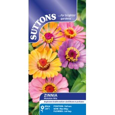 Suttons Molotov Zinnia Mix Seeds
