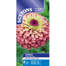 Suttons Queen Red Lime Zinnia Seeds