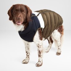 Tog24 Fetch Padded & Reversible Dog Coat Blue/Khaki