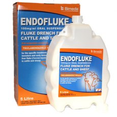 Endofluke 10%