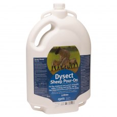 Sheep Dysect 5L