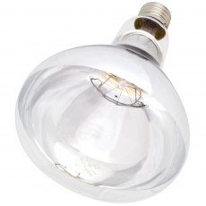 Clear Infra Red Bulb
