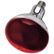 Infra Red Bulb 250w